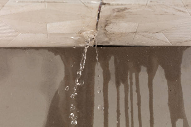 Professional Burst Pipe Cleanup technician working in Wells, NV